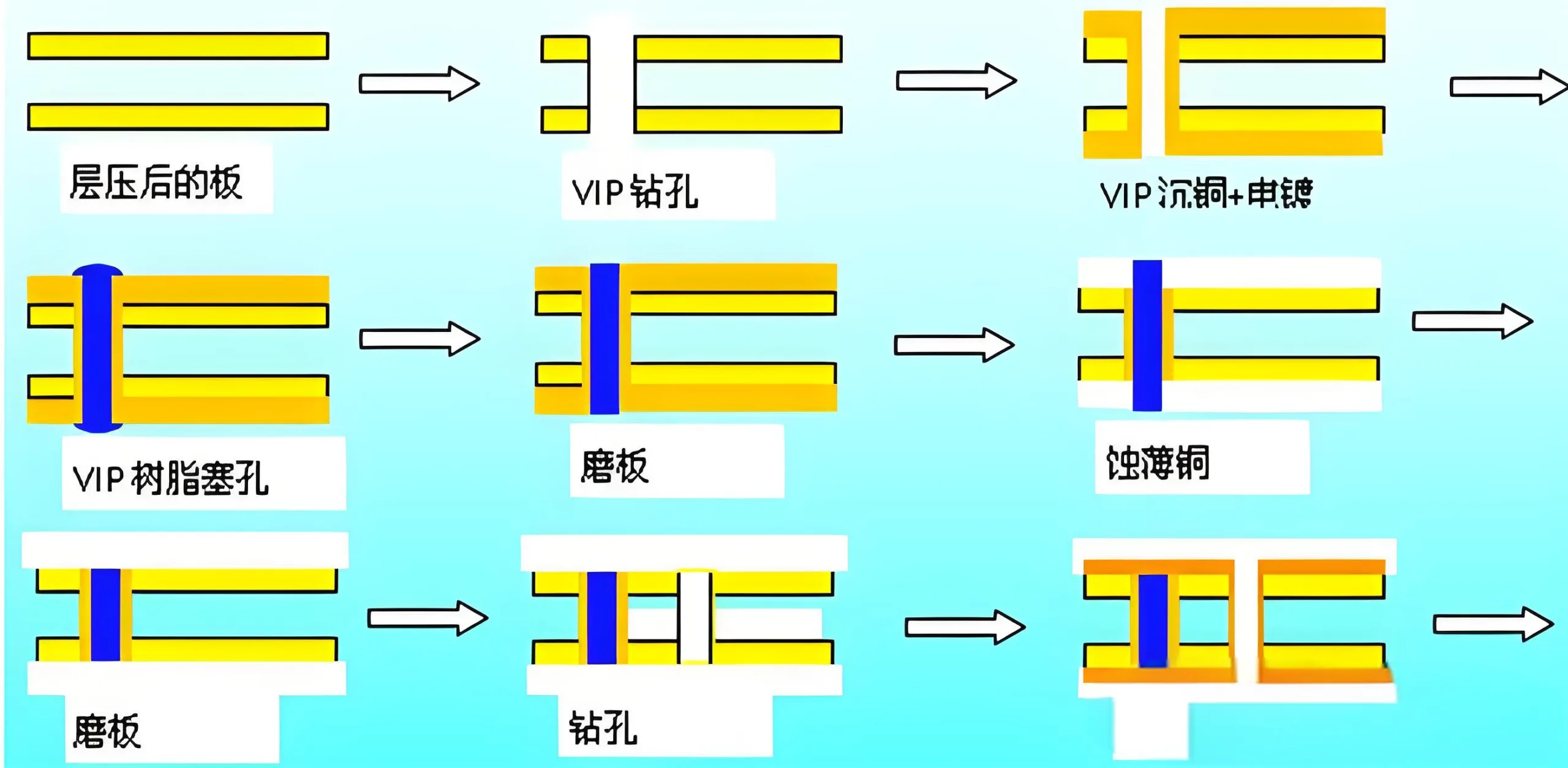  VIPPO Process